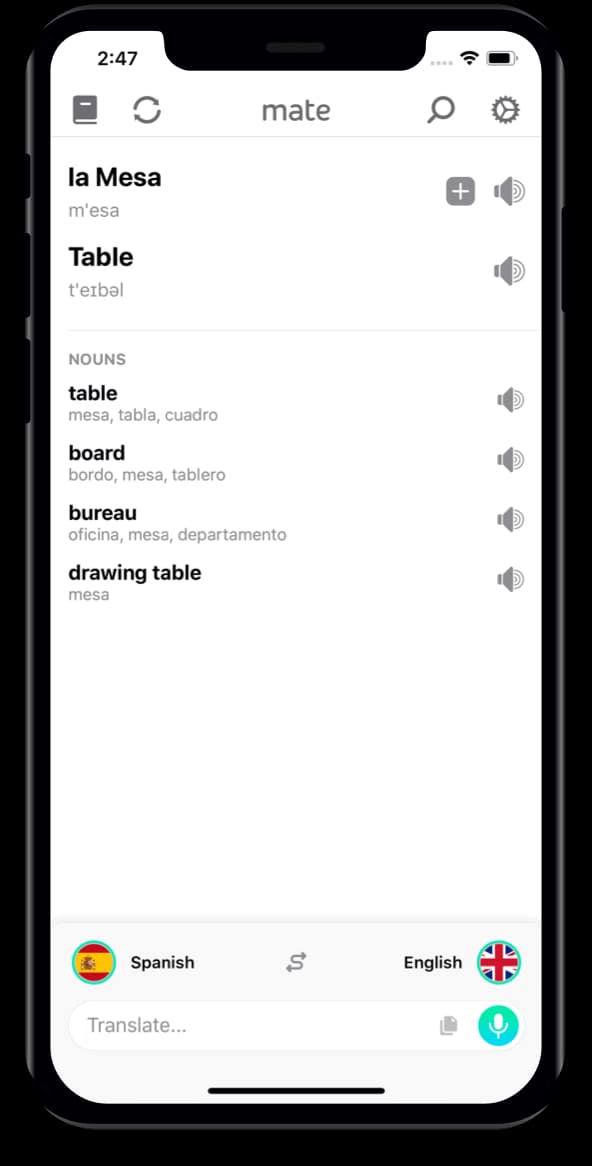 Mate Translate iPhone app interface